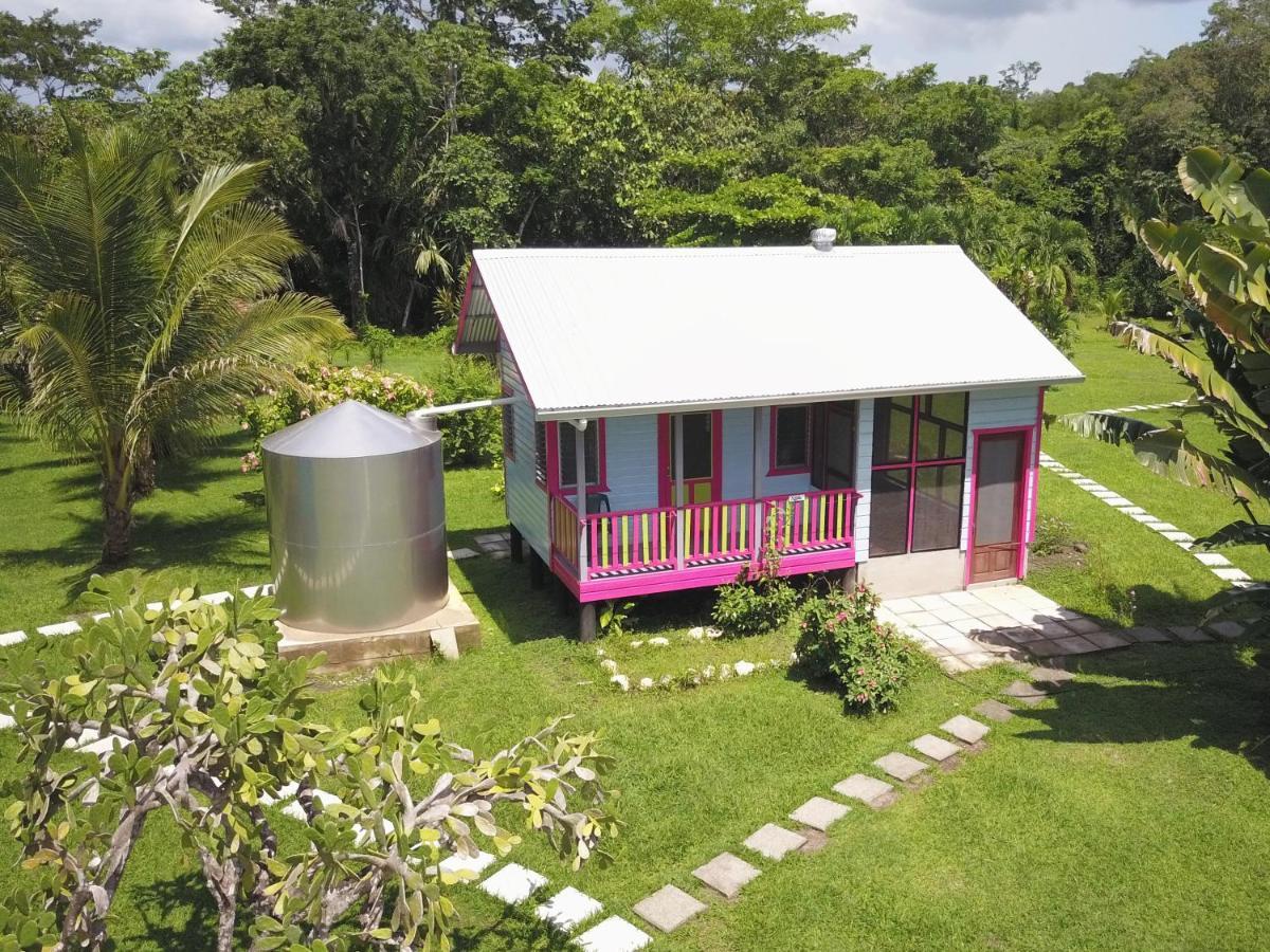 Lower Dover Jungle Lodge & Maya Ruins Unitedville Exterior foto