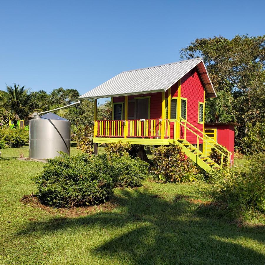 Lower Dover Jungle Lodge & Maya Ruins Unitedville Exterior foto