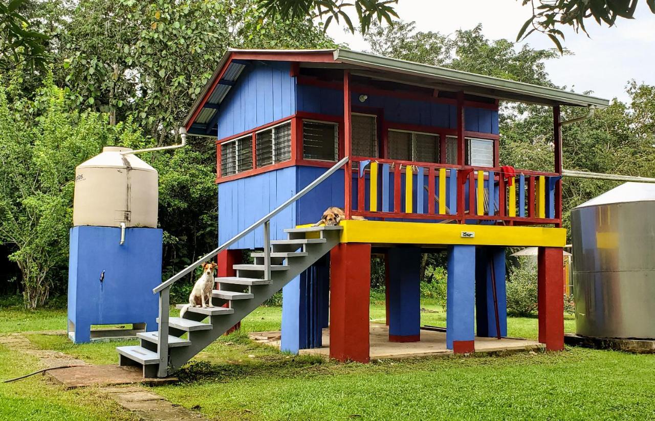 Lower Dover Jungle Lodge & Maya Ruins Unitedville Exterior foto