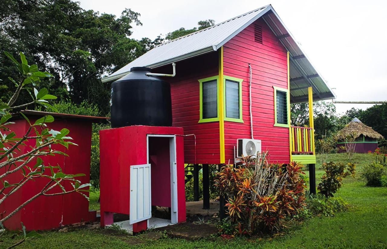 Lower Dover Jungle Lodge & Maya Ruins Unitedville Exterior foto