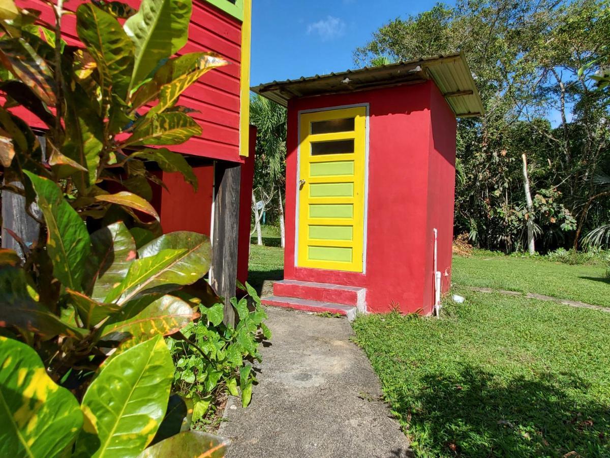 Lower Dover Jungle Lodge & Maya Ruins Unitedville Exterior foto
