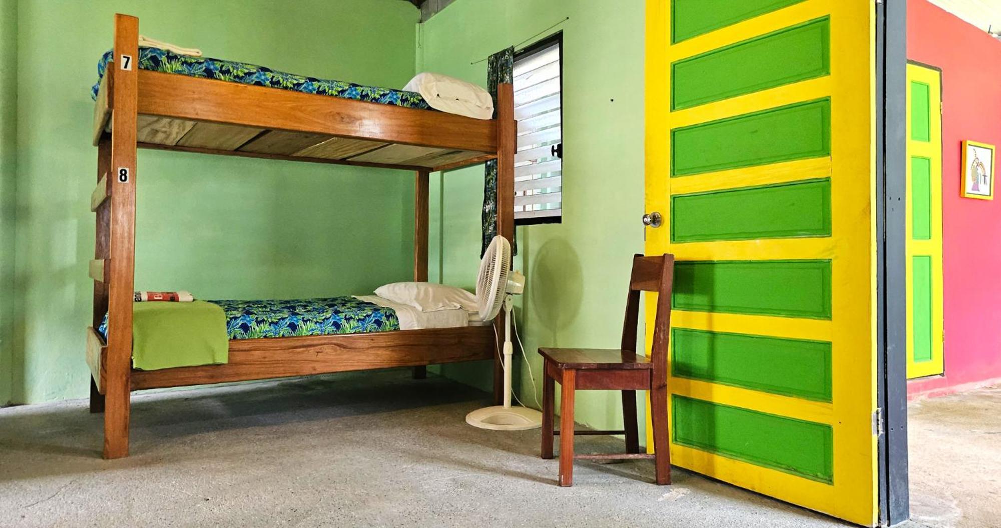 Lower Dover Jungle Lodge & Maya Ruins Unitedville Cameră foto