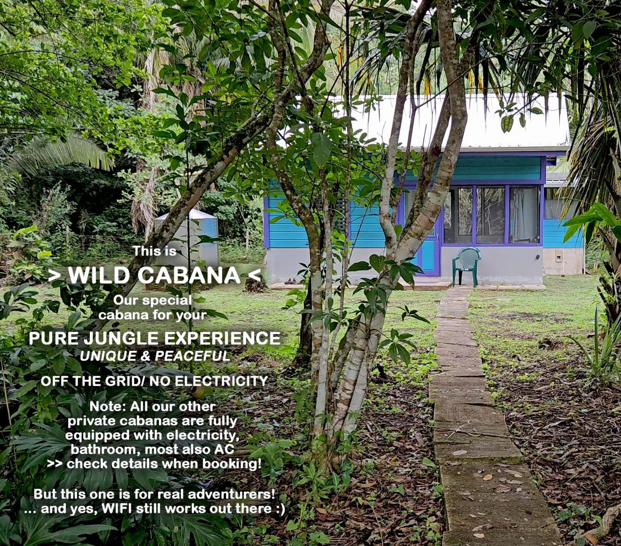 Lower Dover Jungle Lodge & Maya Ruins Unitedville Cameră foto