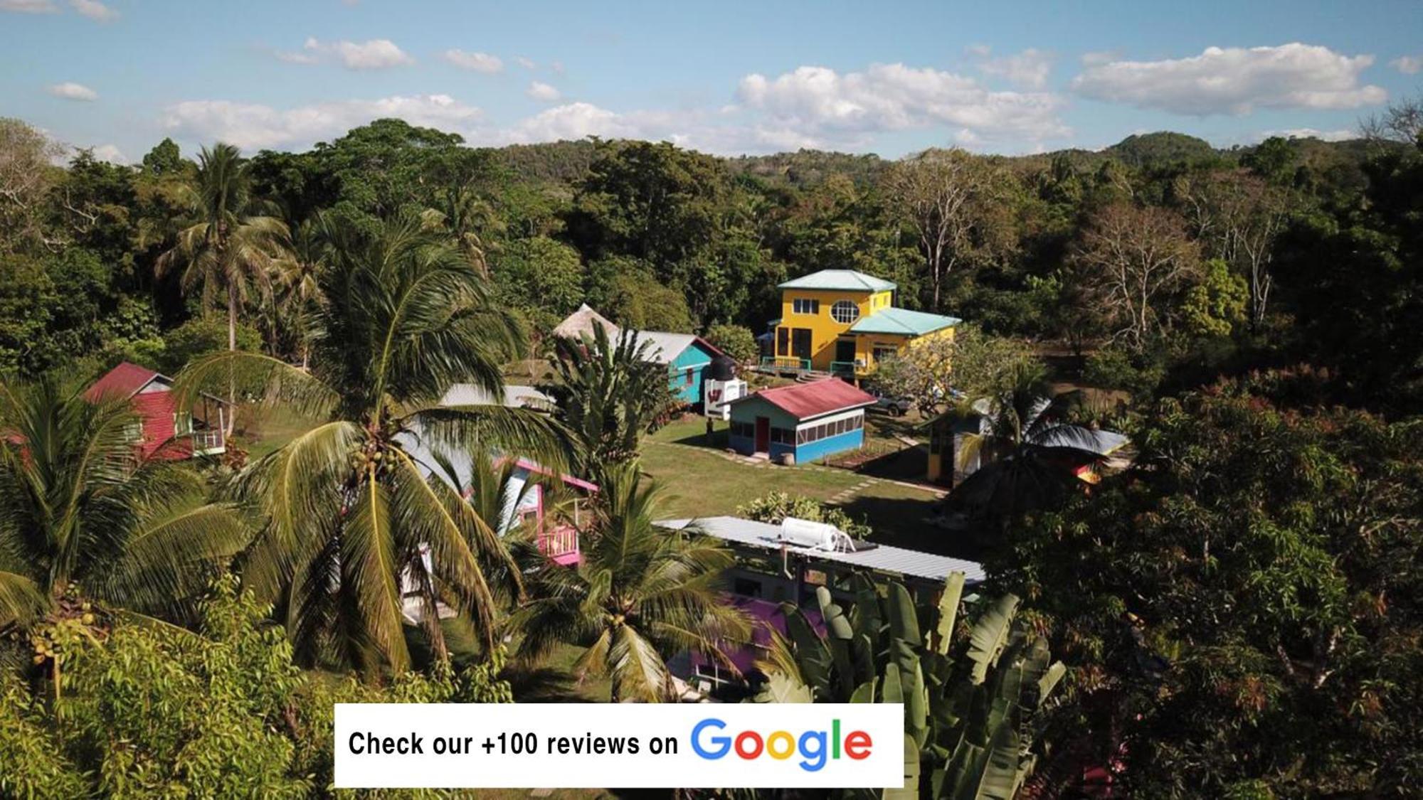 Lower Dover Jungle Lodge & Maya Ruins Unitedville Exterior foto