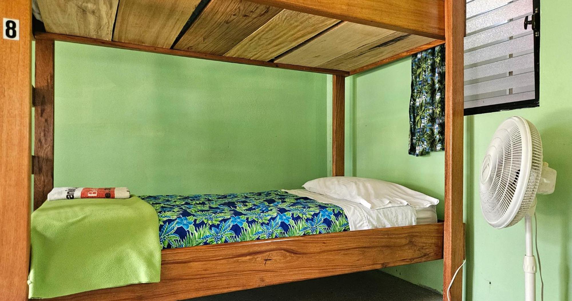 Lower Dover Jungle Lodge & Maya Ruins Unitedville Cameră foto