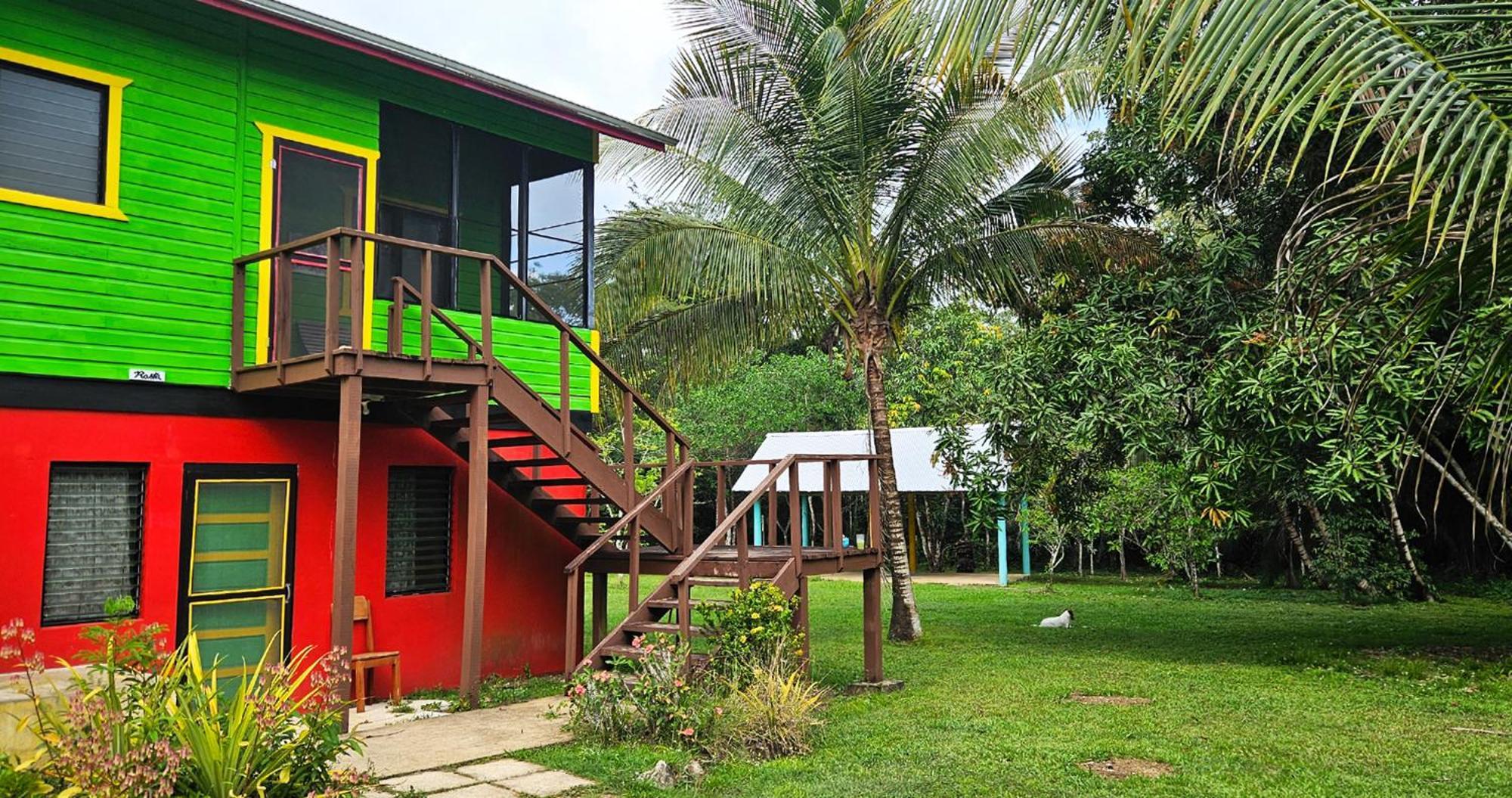 Lower Dover Jungle Lodge & Maya Ruins Unitedville Cameră foto