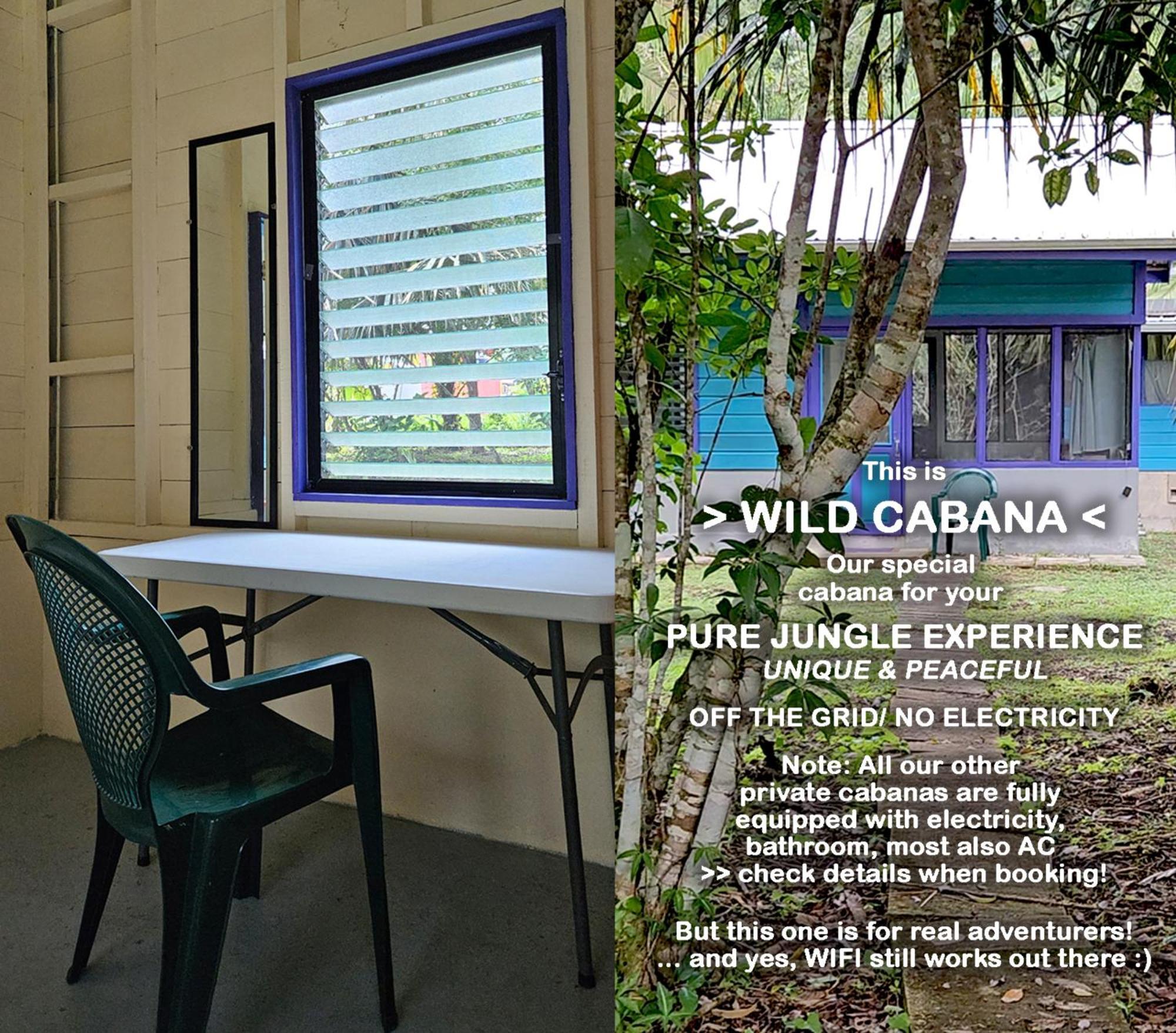 Lower Dover Jungle Lodge & Maya Ruins Unitedville Cameră foto