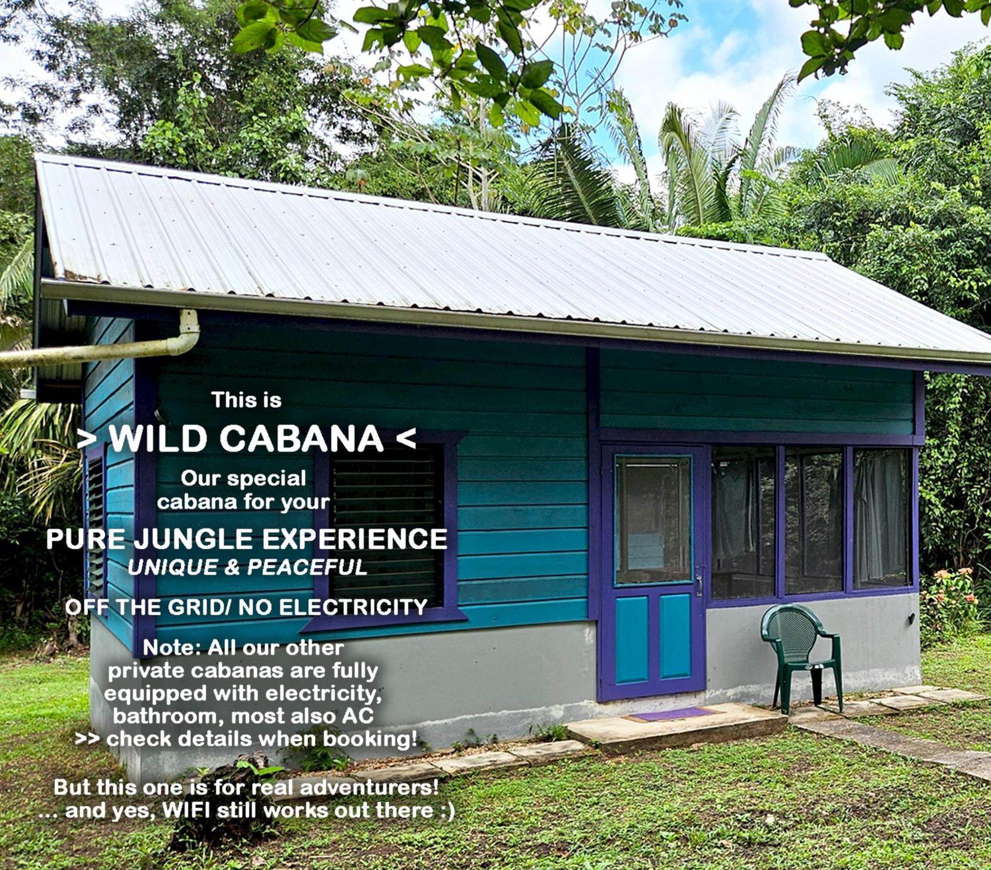 Lower Dover Jungle Lodge & Maya Ruins Unitedville Cameră foto