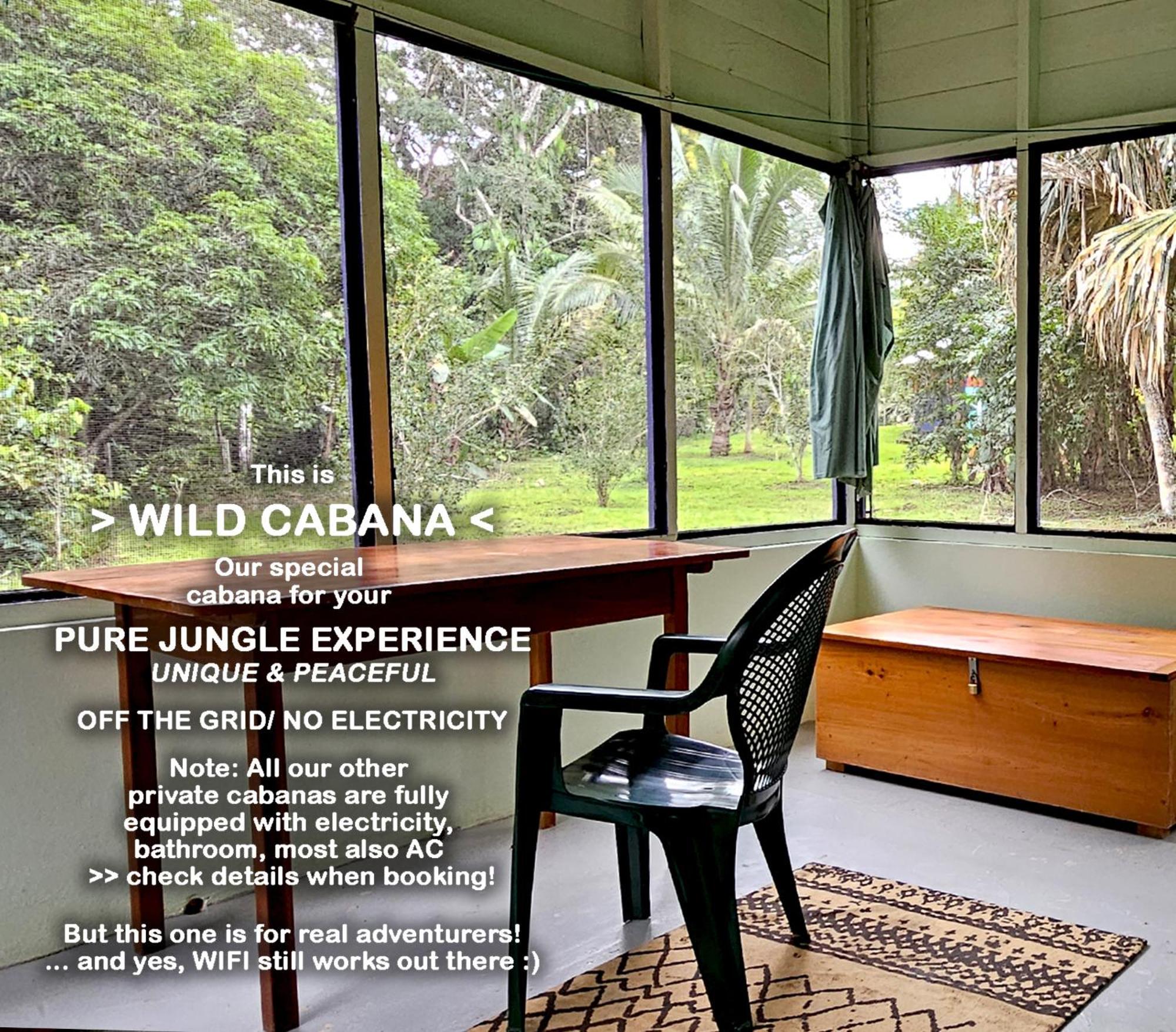 Lower Dover Jungle Lodge & Maya Ruins Unitedville Cameră foto