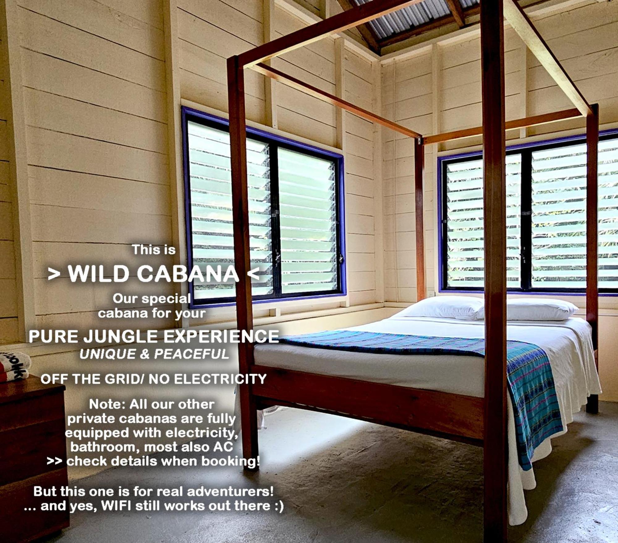 Lower Dover Jungle Lodge & Maya Ruins Unitedville Cameră foto