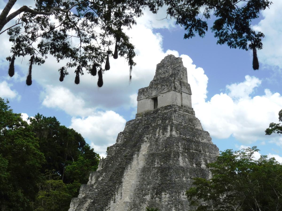 Lower Dover Jungle Lodge & Maya Ruins Unitedville Exterior foto