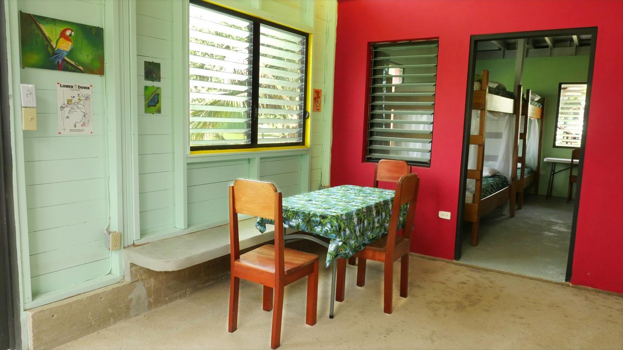 Lower Dover Jungle Lodge & Maya Ruins Unitedville Exterior foto