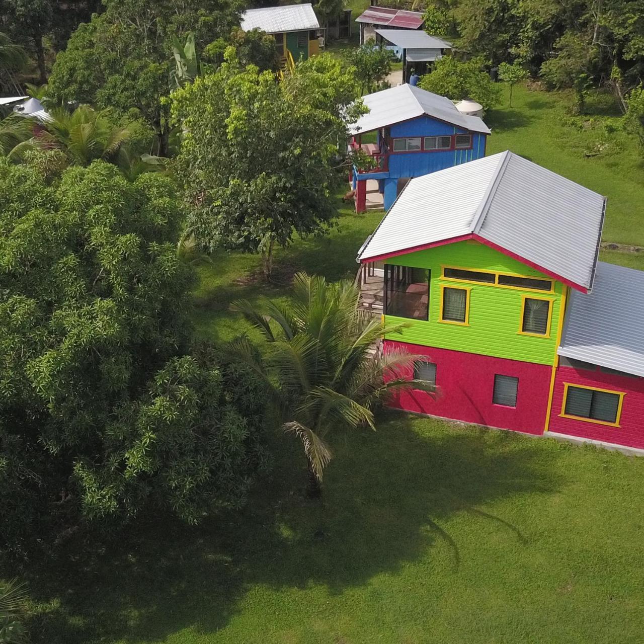Lower Dover Jungle Lodge & Maya Ruins Unitedville Exterior foto